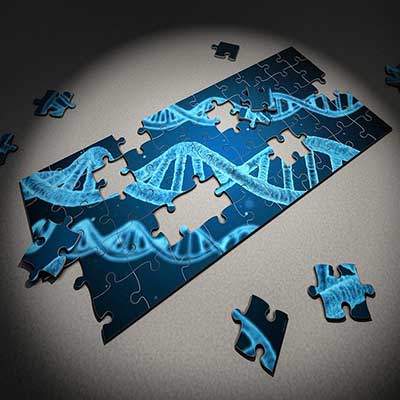 Aktivierung der 12-Strang-DNA